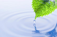 raw_material_water