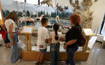 Photos Photiades Foundation celebrates 30 years of the Cyprus Museum of Natural History with a special festival